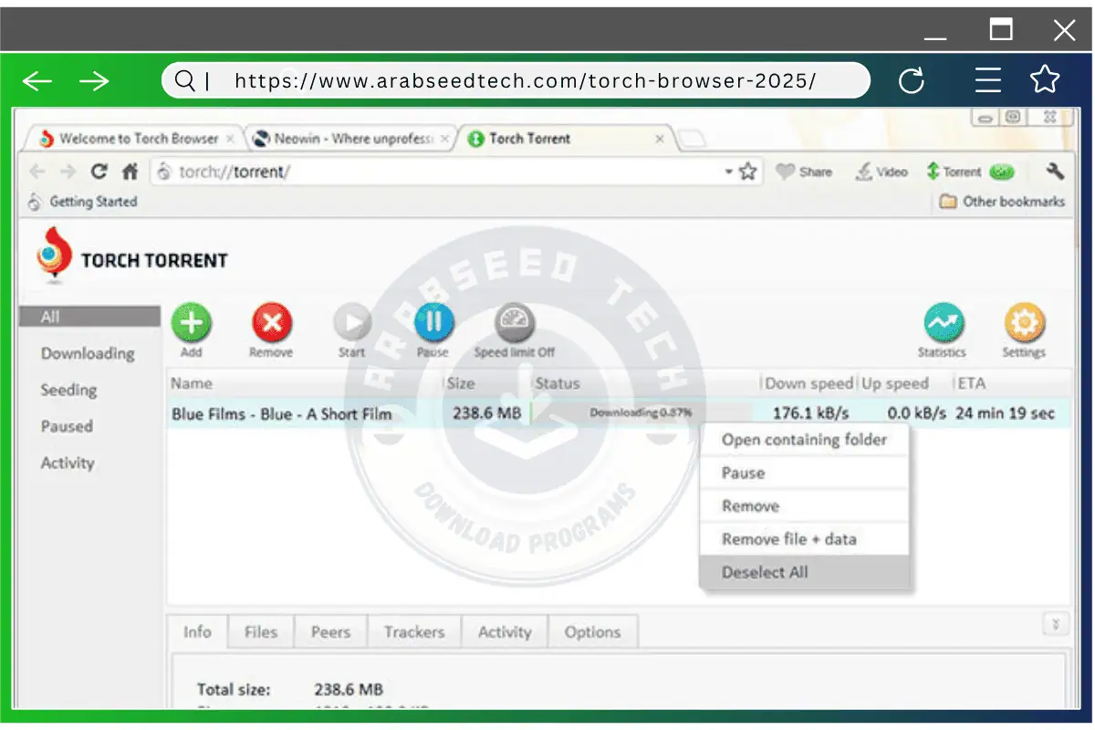 Torch Browser for PC